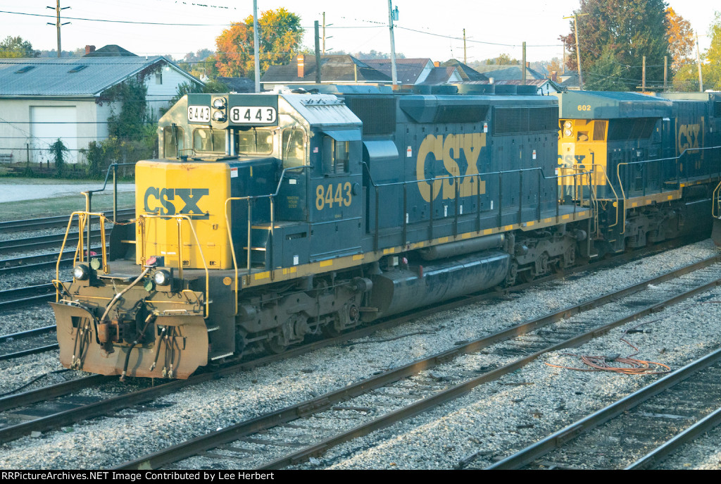 CSX 8443